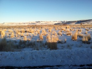 Cold, cold, cold !!!