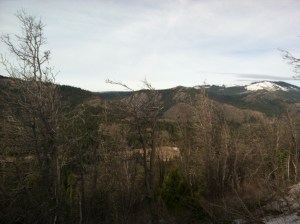 Not so cold but many beautiful colors.